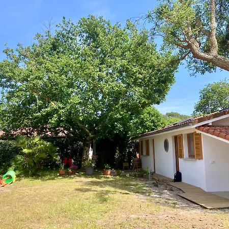 Sous Deux Chenes Apartment